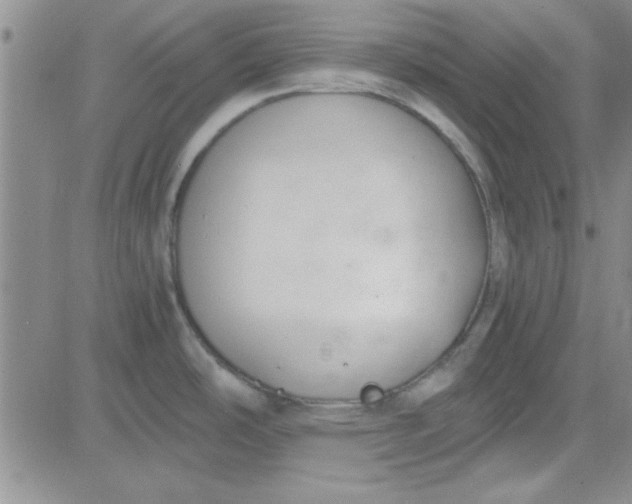 X0000084011486200703022018