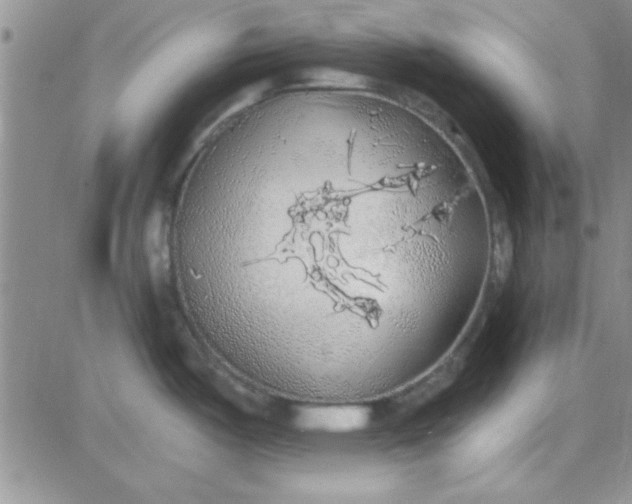 X0000084011487200703022018