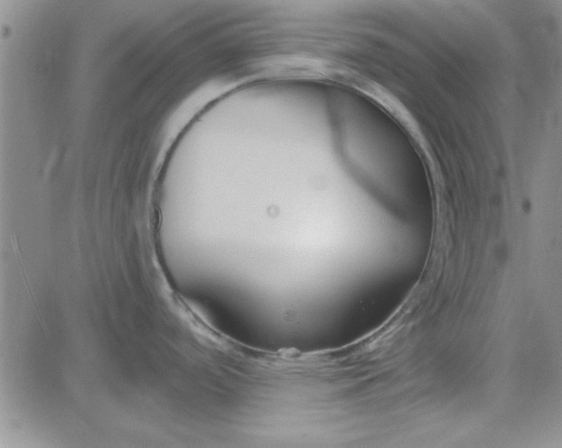 X0000084011488200703022018