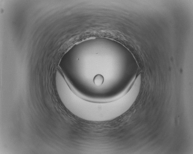 X0000084011489200703022017