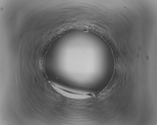 X0000084011490200703022017