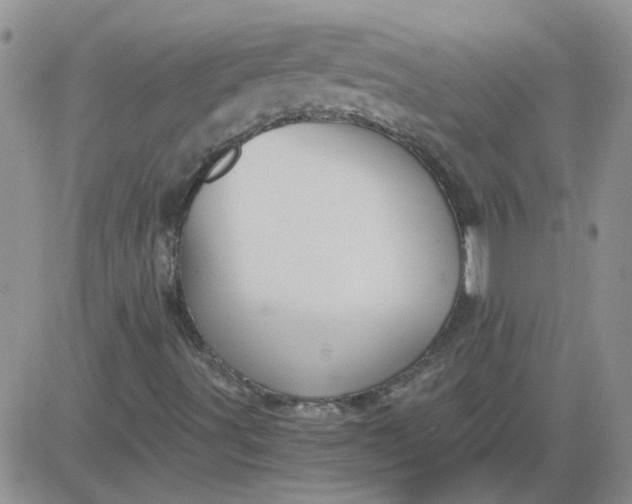 X0000084011491200703022017