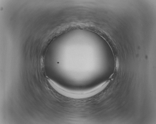 X0000084011492200703022017