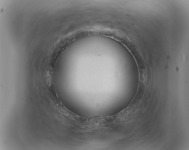 X0000084011493200703022017