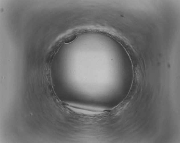 X0000084011494200703022017