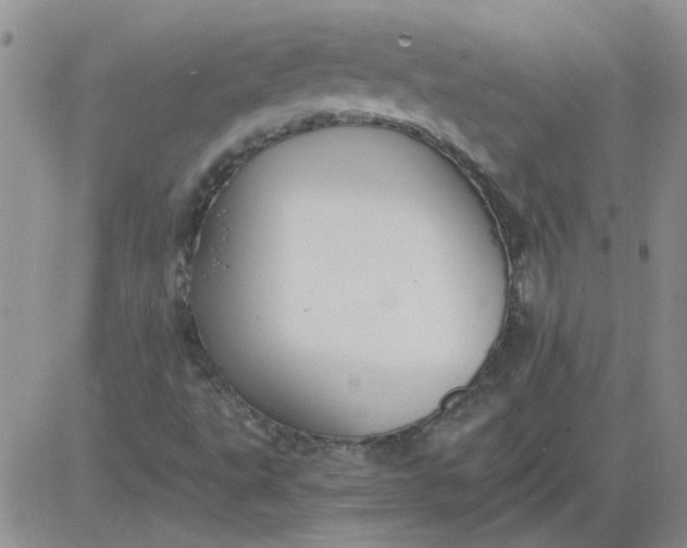 X0000084011495200703022017