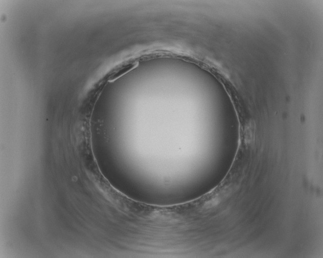 X0000084011496200703022017