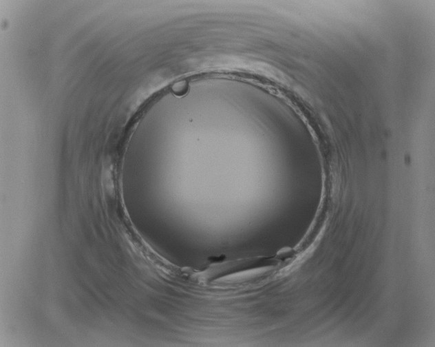 X0000084011497200703022017