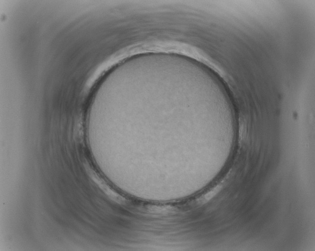 X0000084011498200703022017