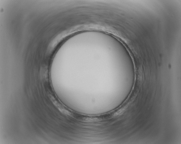 X0000084011499200703022017