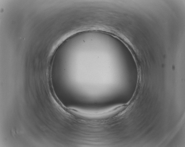 X0000084011500200703022017