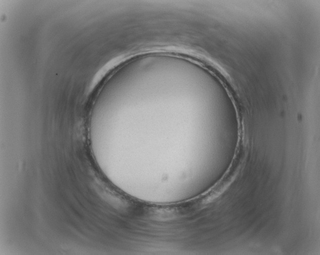 X0000084011501200703022017