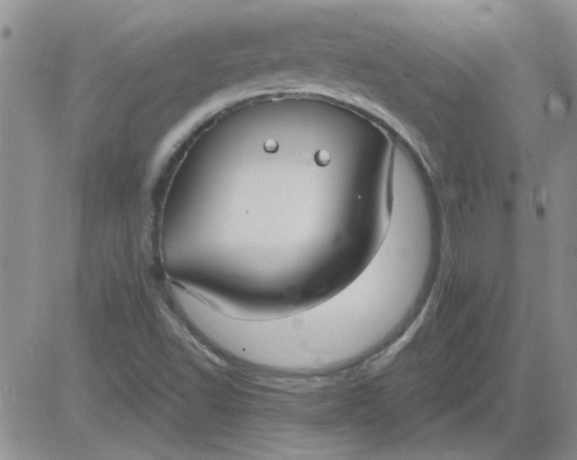 X0000084011502200703022018