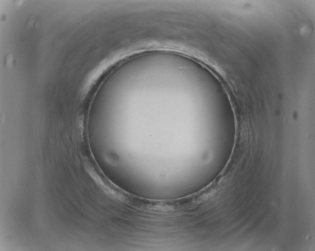 X0000084011503200703022018