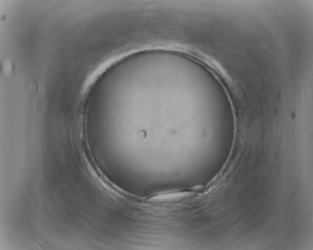 X0000084011504200703022018