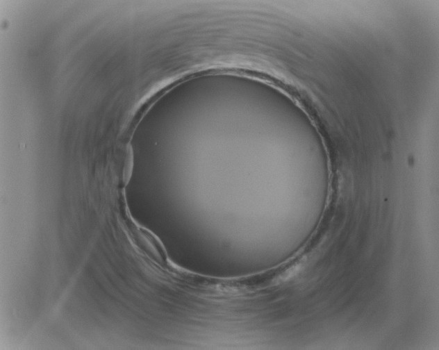 X0000084011505200703022018