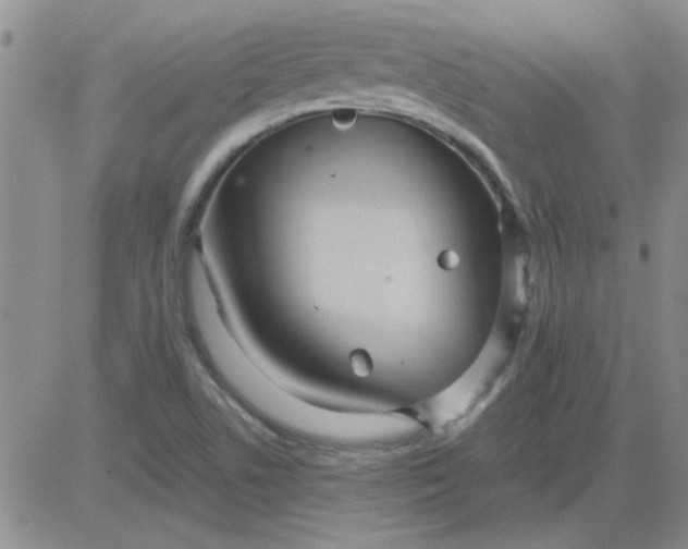 X0000084011506200703022018