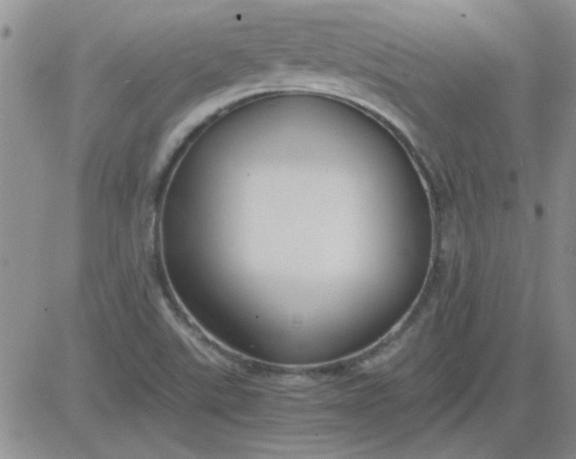 X0000084011507200703022018