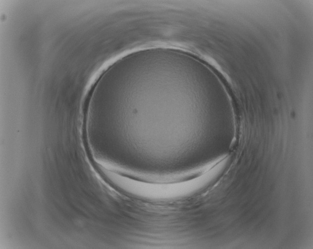 X0000084011508200703022018