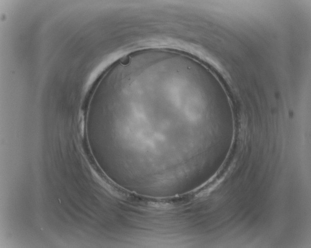 X0000084011509200703022018