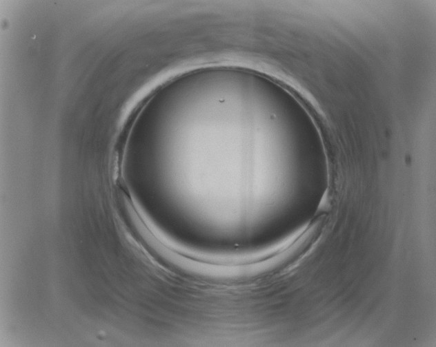 X0000084011510200703022018