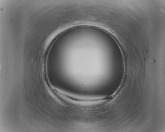 X0000084011511200703022018