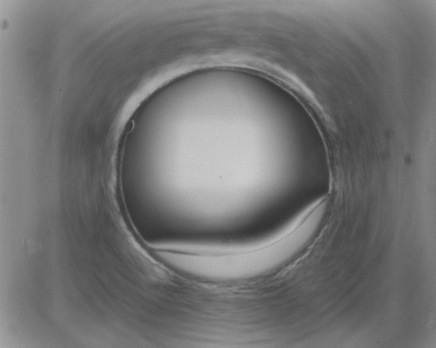 X0000084011512200703022018