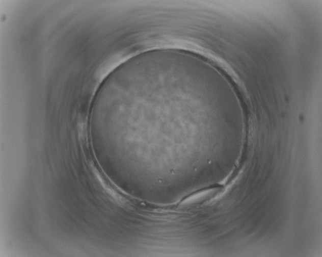 X0000084011513200703022018