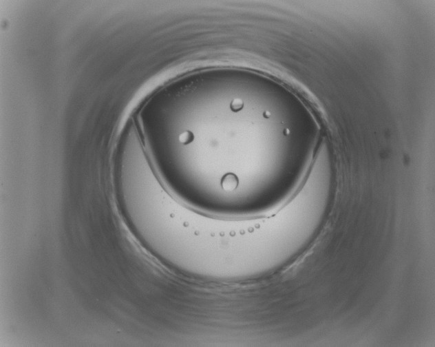 X0000084011514200703022018