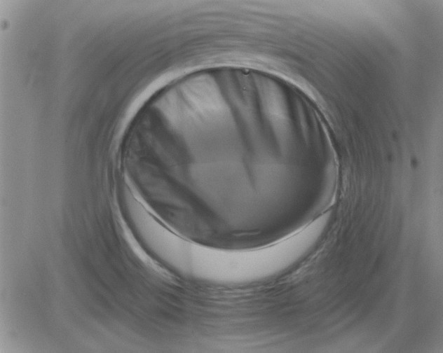 X0000084011515200703022018