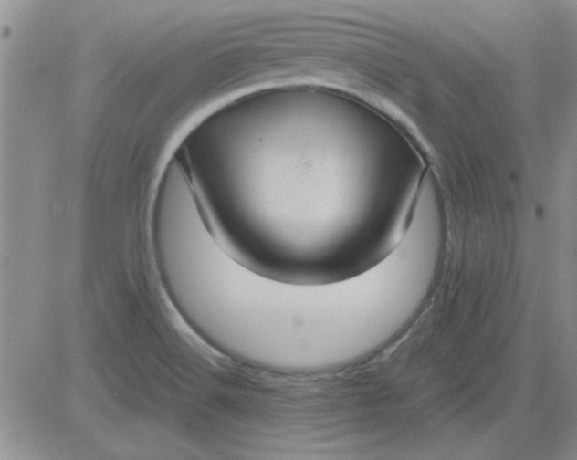 X0000084011516200703022018