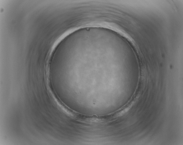 X0000084011517200703022018