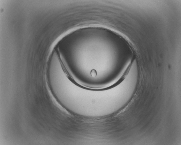 X0000084011518200703022018