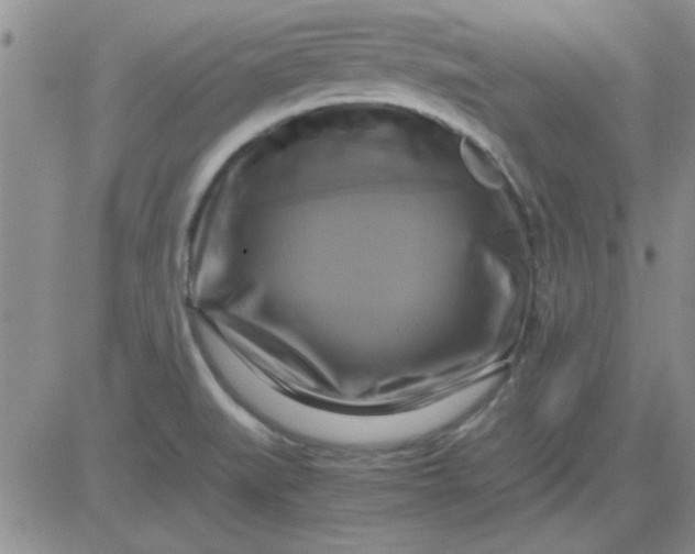 X0000084011519200703022018