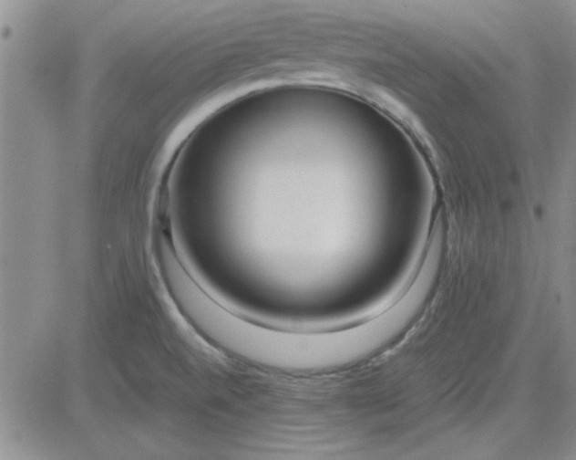 X0000084011520200703022018