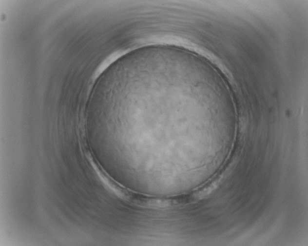 X0000084011521200703022018