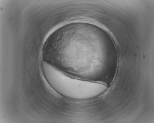 X0000084011522200703022018