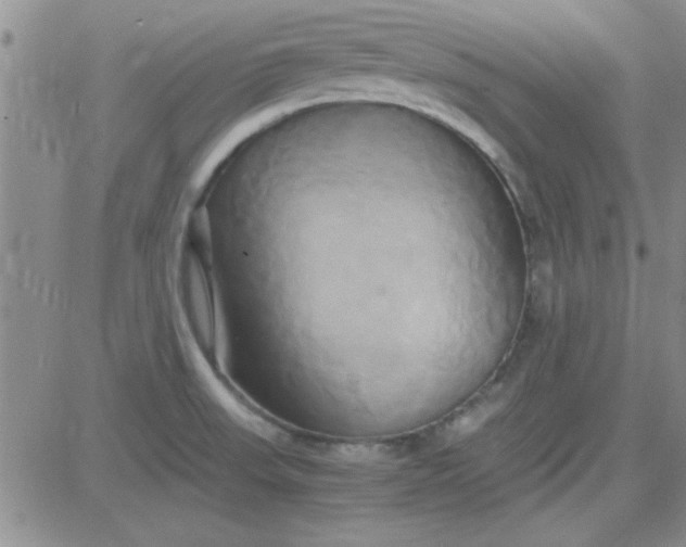 X0000084011523200703022018