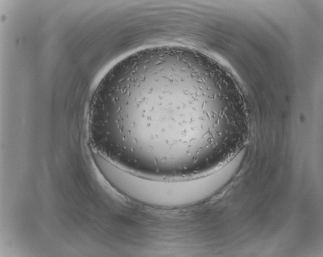 X0000084011524200703022018