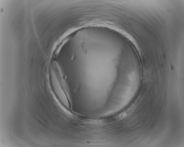 X0000084011525200703022018