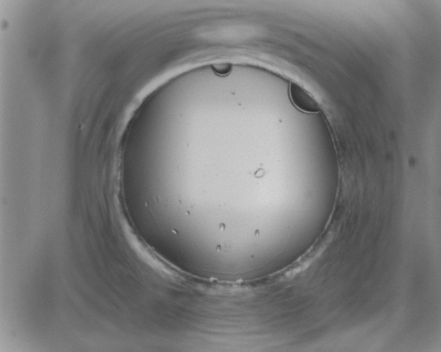 X0000084011526200703022018