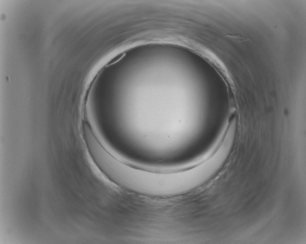 X0000084011528200703022018