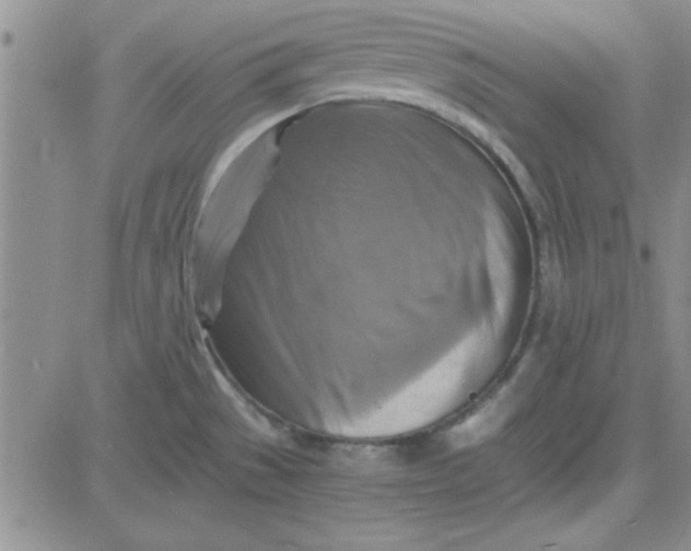 X0000084011529200703022018