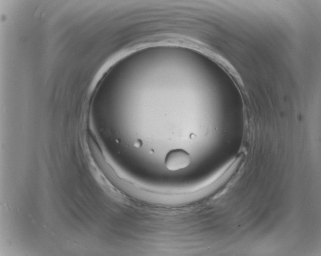 X0000084011530200703022018