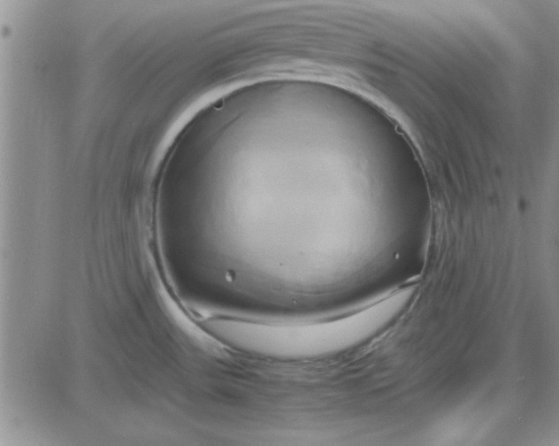 X0000084011531200703022018