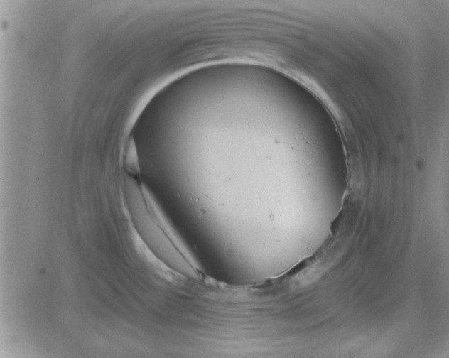 X0000084011532200703022018