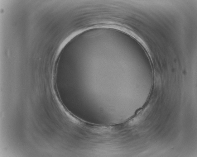 X0000084011533200703022018