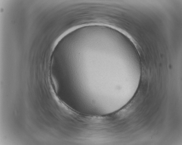 X0000084011534200703022018