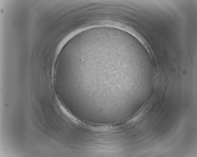 X0000084011535200703022018