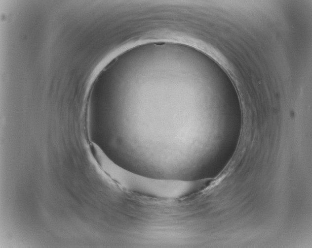 X0000084011536200703022018